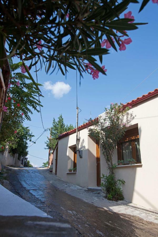Antoni'S House Makri Villa Alexandroúpolis Ngoại thất bức ảnh